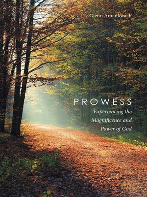 cover image of Prowess
